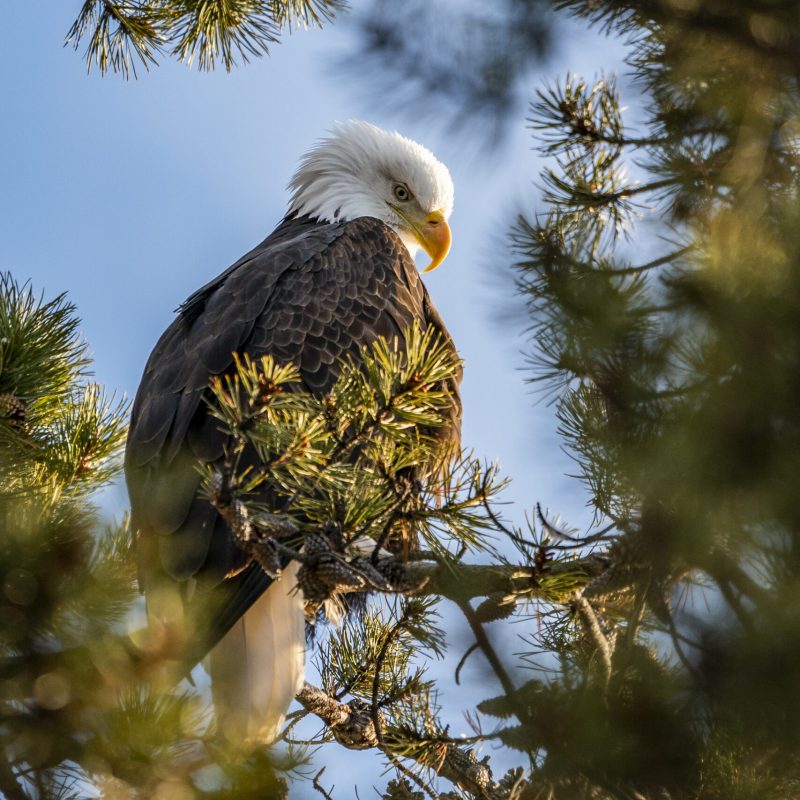_DSC2352